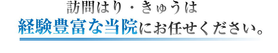 訪問はり・きゅうは経験豊富な当院にお任せください。